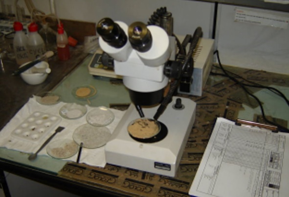 Laboratoare