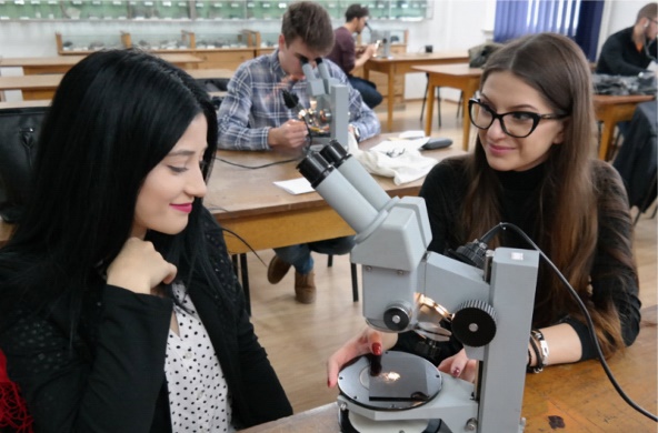 Laboratoare